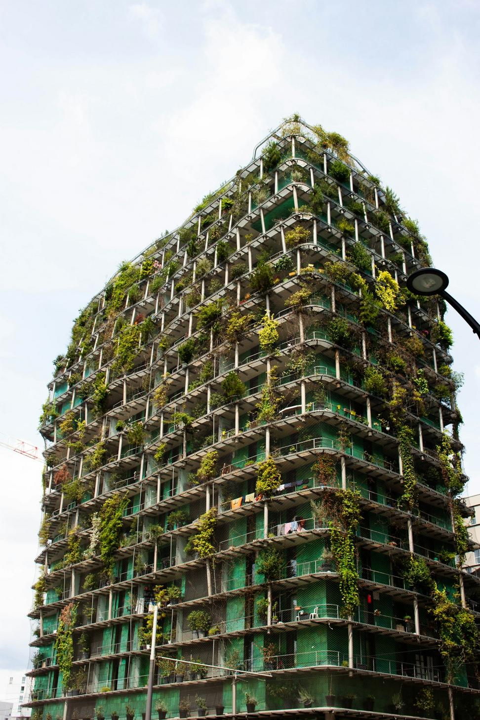Sustainable Building Materials