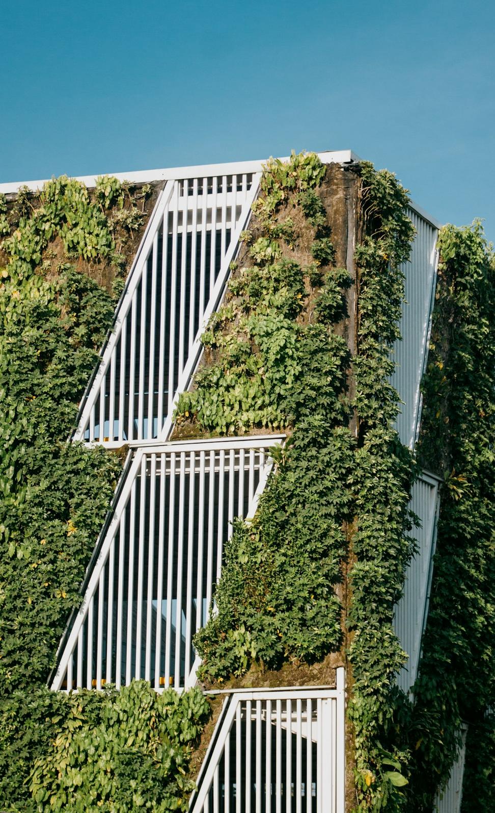 Eco-Friendly Architecture